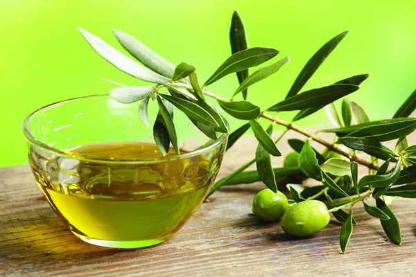 تصویر 1 از قیمت روغن زیتون صادراتی + خرید باور نکردنی